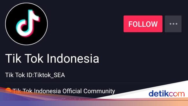 Di Balik Fenomena Popularitas Instan Bowo Artis Tik Tok