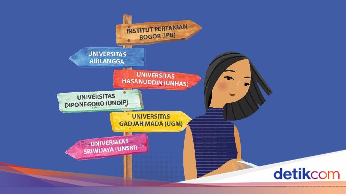 6 Jalur Masuk PTN 2026 Jika Tidak Lolos SNBP dan SNBT, Tetap Bisa ...