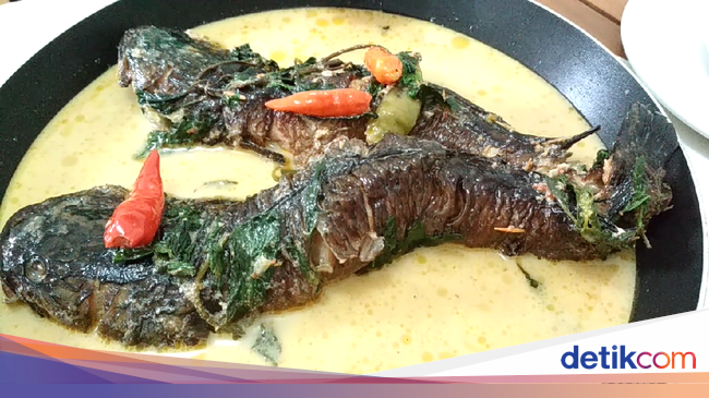 Olahan Kotok Kutuk Pedas Ini Dijamin Tubuh Berkeringat Olahan Kotok Kutuk Pedas Ini Dijamin Tubuh Berkeringat