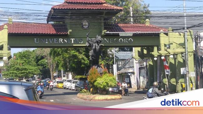 Mengenal Prodi Manajemen Sumberdaya Perairan Di Undip Ini Prospek Kerjanya