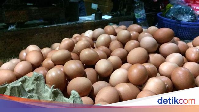 Pemkot Surabaya Tekan Harga Dengan 100 Kg Telur Tiap Hari