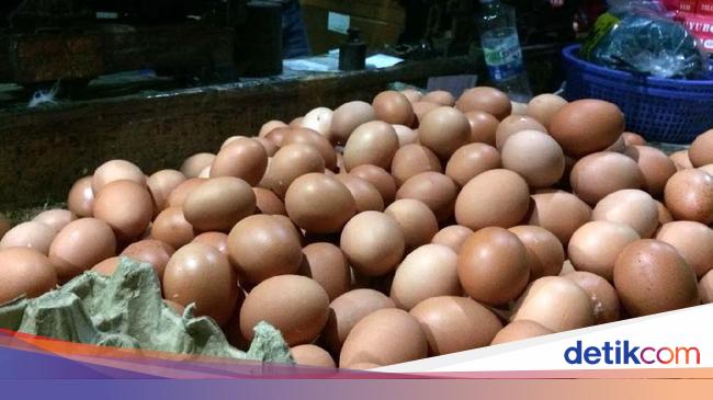 Harga Telur Ayam Ikutan Naik Sekarang Rp 28 000 Kg