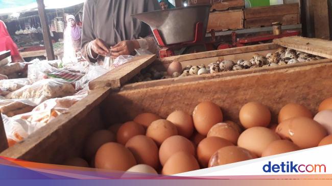 Inilah Harga Telur 1 Kg Superindo Terlengkap - Lihat Harga Terlengkap