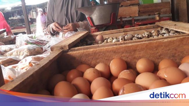 Harga Telur Ayam Turun Tipis Ke Rp 27 000 Kg Harga Telur Ayam Turun Tipis Ke Rp 27 000 Kg