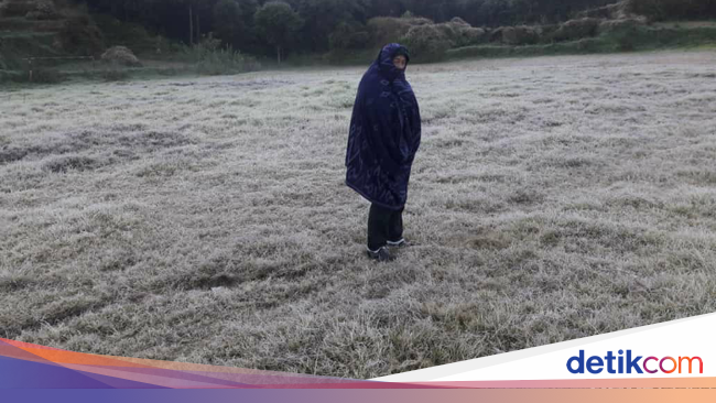 Beku! Suhu 3 Derajat Celsius dan Embun Es Kembali Muncul 