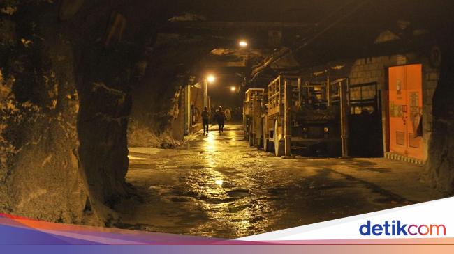 Kuasai Tambang Raksasa di RI, Segini Gaji Direksi Freeport Indonesia