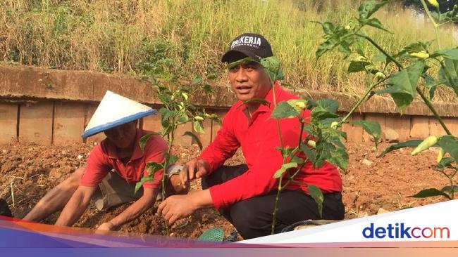 Hortikultura Penyumbang Terbesar Pertumbuhan Sektor Pertanian