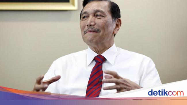 Luhut Ngaku Takjub dengan Perkembangan Food Estate di Sumut