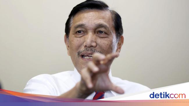 Tim Luhut Godok Deregulasi Berbasis AI, Bakal Presentasi Depan Prabowo
