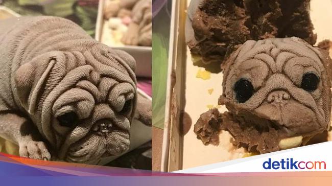 31+ Gambar anjing bulldog seram ideas