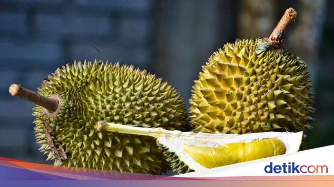 Karena Mirip Kata Durian Dan Rambutan Nama Dua Bocah Ini Jadi Viral