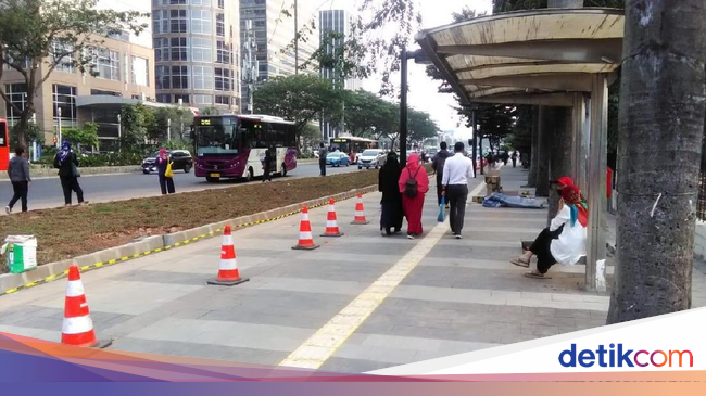 Halte Bus Terhalang Rumput di Jl Sudirman, Ini Kata Sandiaga