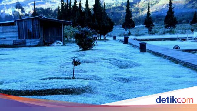 3 Tahun Dieng Terekam Membeku Di Bulan Juni Juli