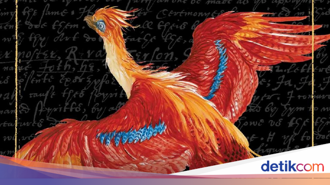  Burung  Phoenix  Hiasi Buku Harry Potter A History of Magic 