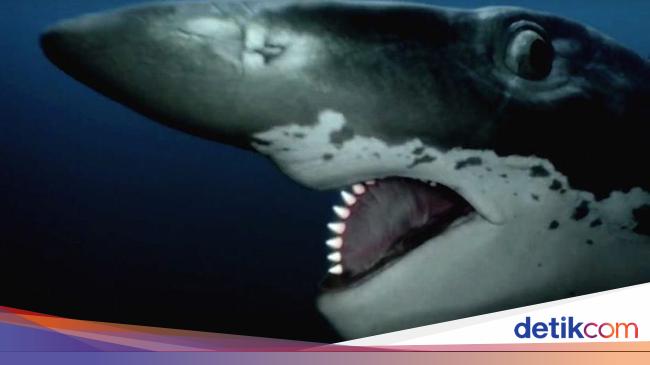 13 Hewan  Purba  Mengerikan  yang  Untungnya Telah Punah 13 Hewan  Purba  Mengerikan  yang  Untungnya Telah Punah