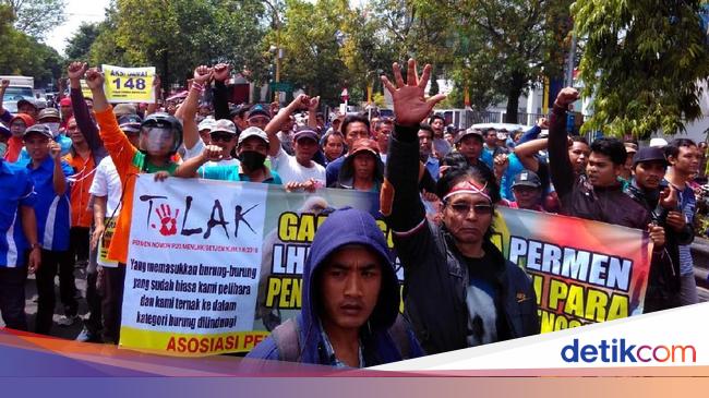 Penghobi Burung Kicau Di Klaten Dan Sragen Aksi Tolak Permen Lhk