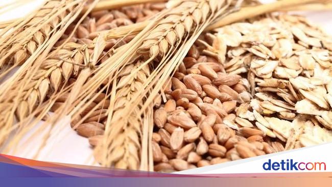 8 Manfaat Gandum Yang Tak Semua Orang Tahu