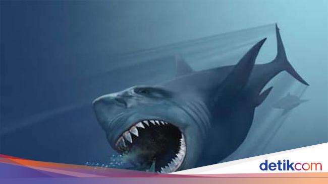 Apakah Megalodon Masih Hidup Sampai Sekarang? Inilah Faktanya - schmu.id
