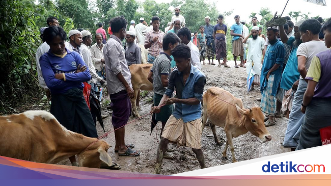 Melihat Perayaan Hari Raya Idul Adha Warga Rohingya