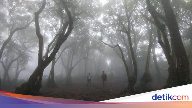 Kisah Para Pendaki yang Tersesat di Gunung-gunung Jawa Barat