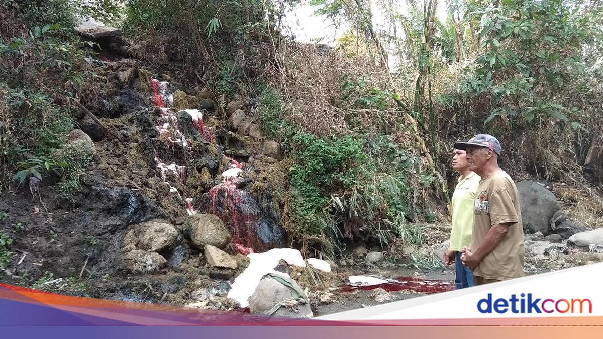 Jorok! Limbah RPH Ambarawa Dibuang ke Sungai
