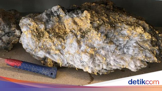 Penambang Temukan 2 Batu Bertakhtakan Emas Bernilai Rp 164 M