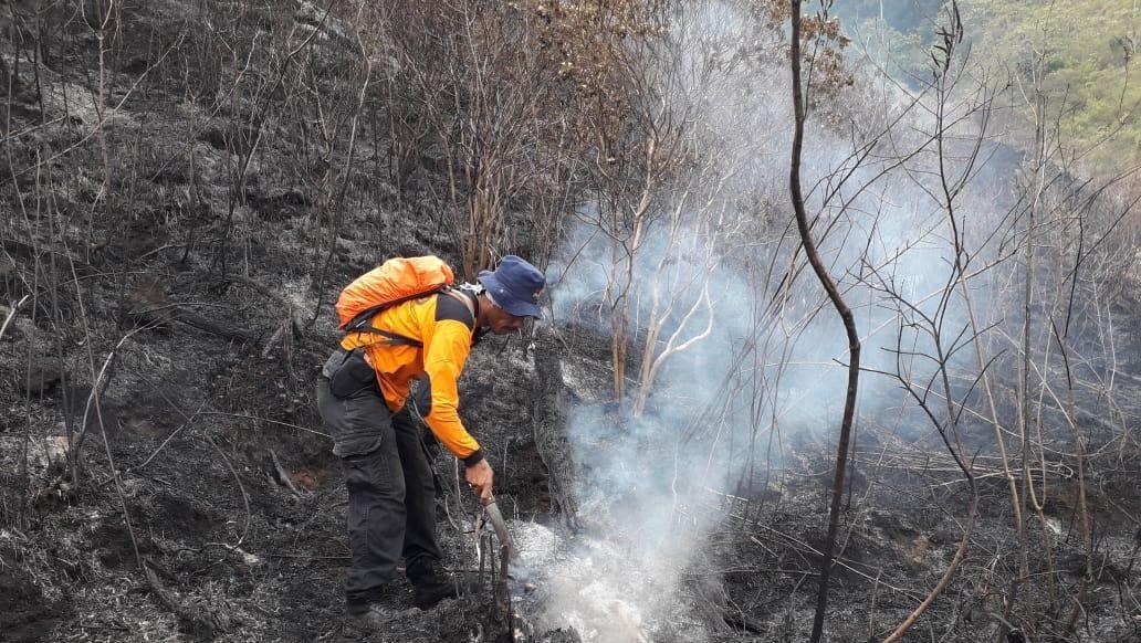 Water Bombing Gunung Ciremai, BNPB: Titik Api Masih Ditemukan