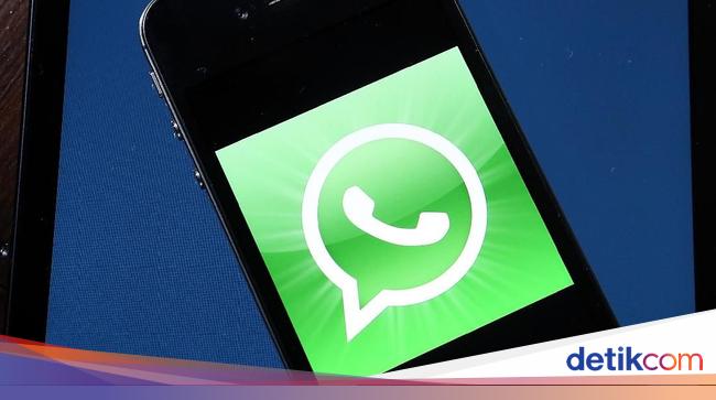 Cara Tahu Pesan WA Sudah Dibaca Walau Centang Biru Mati