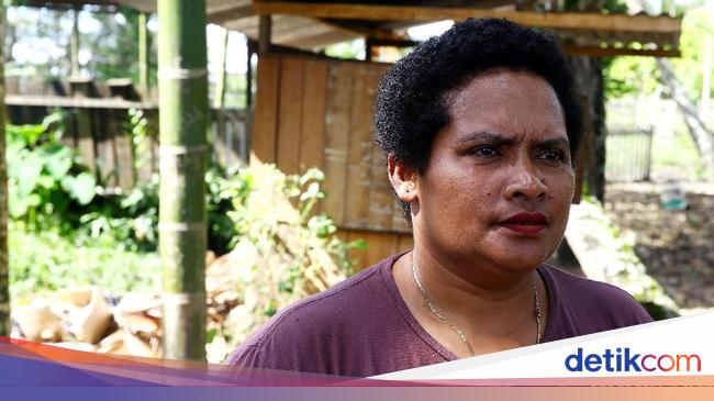 Ternak Babi di Perbatasan, Mama Papua Ini Untung Rp 10 