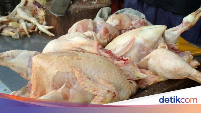 Duh Harga Daging Ayam Tembus Rp 52 000 Ekor