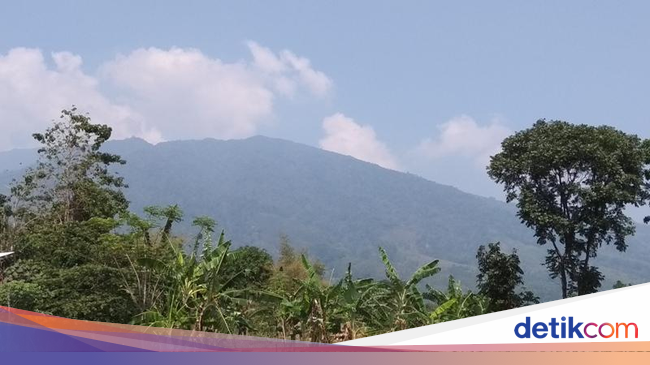 Cegah Kebakaran Jalur Pendakian Gunung Ungaran Ditutup Cegah Kebakaran Jalur Pendakian Gunung Ungaran Ditutup