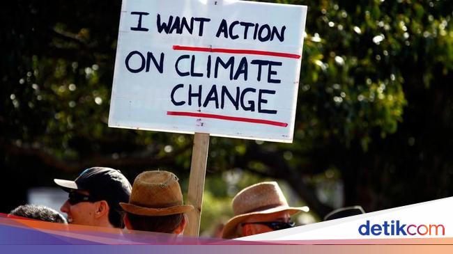 6 Hal Yang Bisa Dilakukan Untuk Mencegah Terjadinya Bencana Iklim