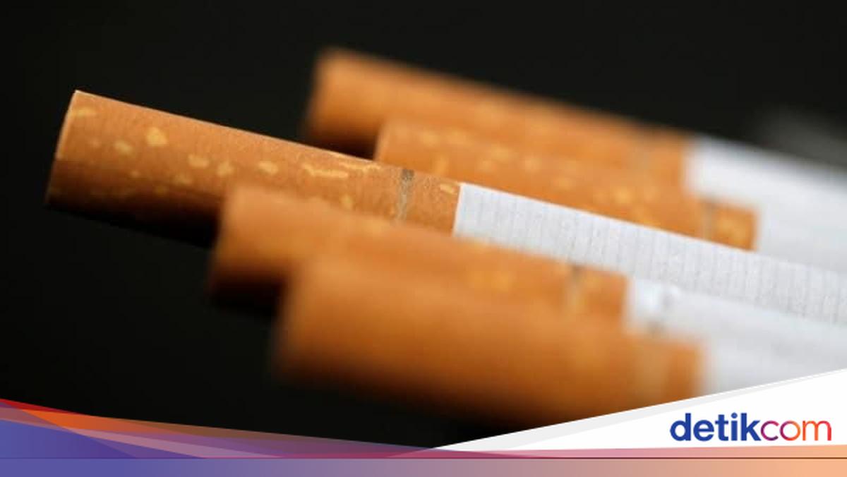 20 Merek Rokok Termahal di Indonesia, Ada yang Tembus Rp 44 Ribu