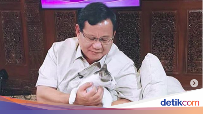 Bobby, Kucing Kesayangan Prabowo yang Eksis di Instagram