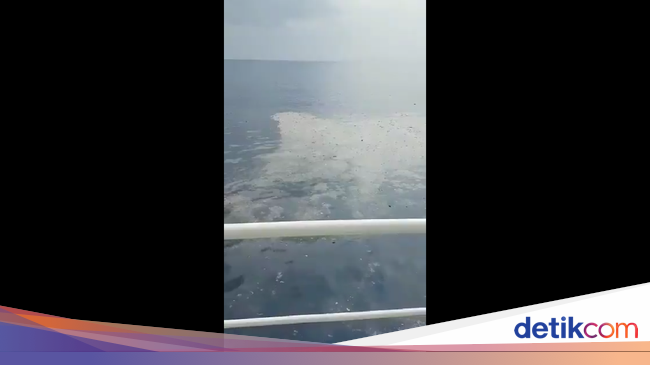 Begini Bentuk Serpihan Pesawat Lion Air JT 610 yang Jatuh
