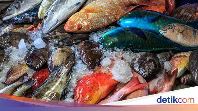 Makan Ikan Biar Pintar Kalau Ikan Mengandung Plastik Bagaimana