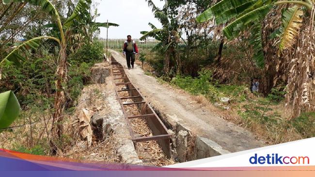  Talang  Saluran Air  Rusak Puluhan Hektare Sawah  di  Brebes 