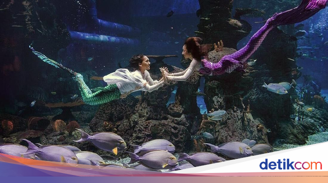 Ada Putri Duyung Berenang Dalam Mal di Jakarta, Mau Lihat?