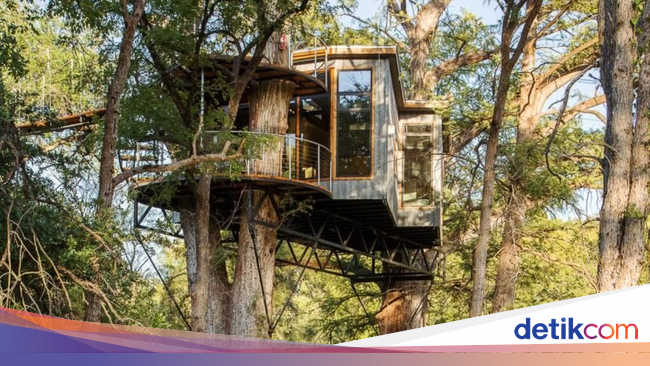 Ada Rumah Mewah Nangkring di Atas Pohon Begini Jeroannya