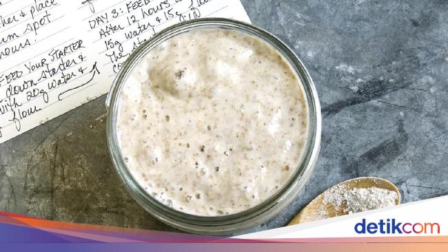 Unik! Ada Hotel Khusus Penitipan Ragi Sourdough
