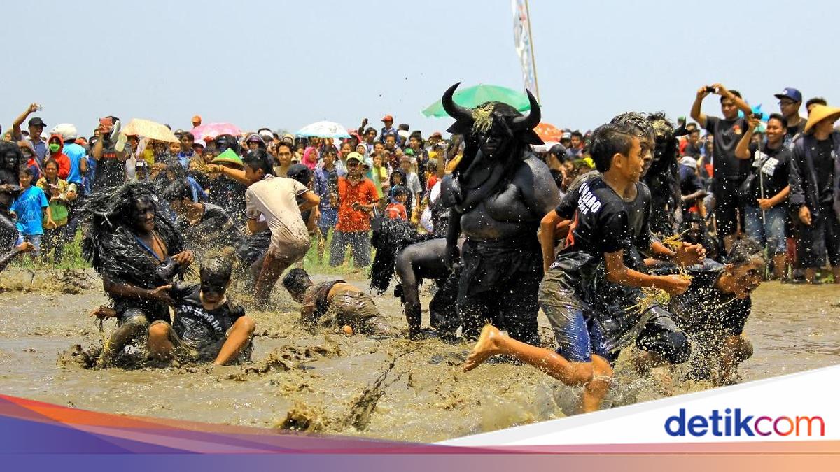 Ritual Kebo-keboan Alasmalang, Tradisi Osing Banyuwangi di Bulan Suro