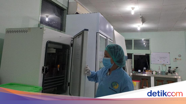 Laboratorium Canggih di RSUP Sanglah, Ada Ruang Isolasi 