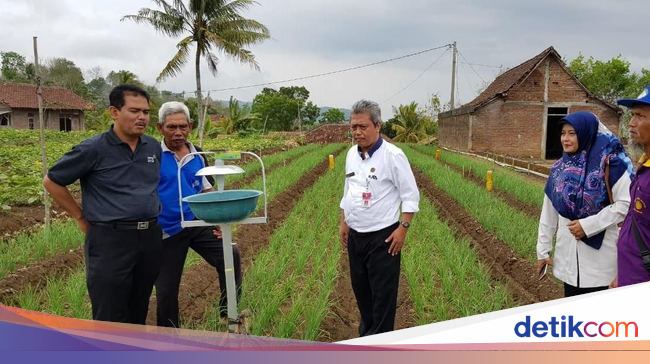 Kementan Dorong Pengembangan Wisata Agro Berbasis Hortikultura