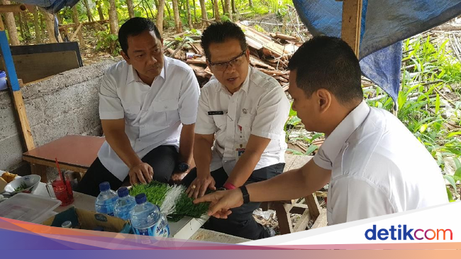 Percantik Lapangan Bola, Ini yang Dilakukan Wali Kota Semarang