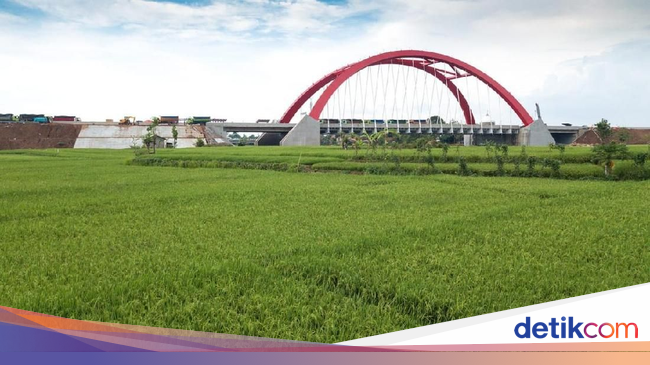 Inovasi dan Kepemimpinan Jejaring di Daerah - detikNews