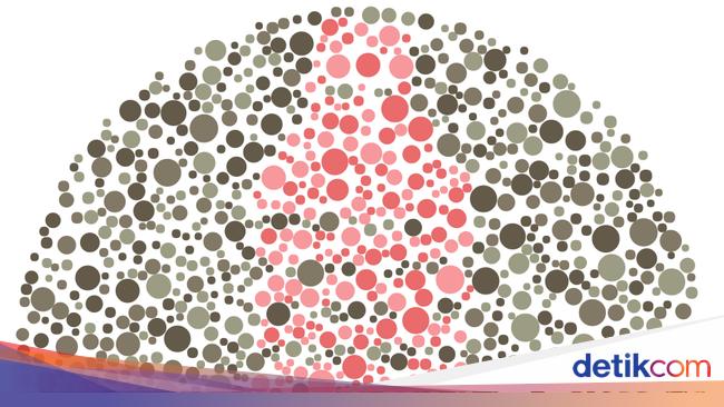 10+ Tebak Gambar Pohon Orang Buta Dan Robot