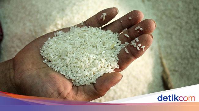 Harga Semua Jenis Beras Di Penggilingan Turun Sepanjang November Harga Semua Jenis Beras Di Penggilingan Turun Sepanjang November