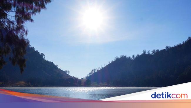 Setahun Tak Ada Pendakian Ranu Kumbolo Ditandai Jejak Satwa Liar