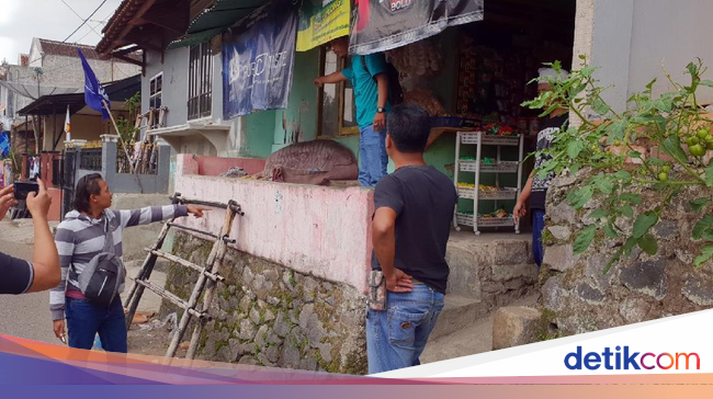 Aksi Ngeri Geng Motor Serang 3 Warga di Kota Sukabumi