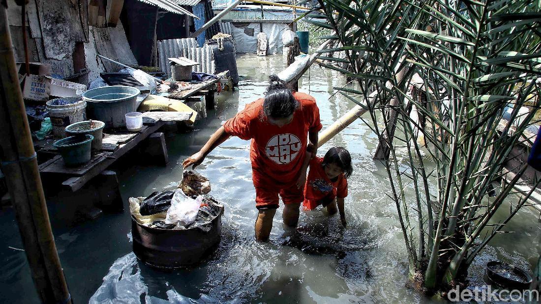 Banjir Rob Rendam Pemukiman Nelayan Di Muara Angke